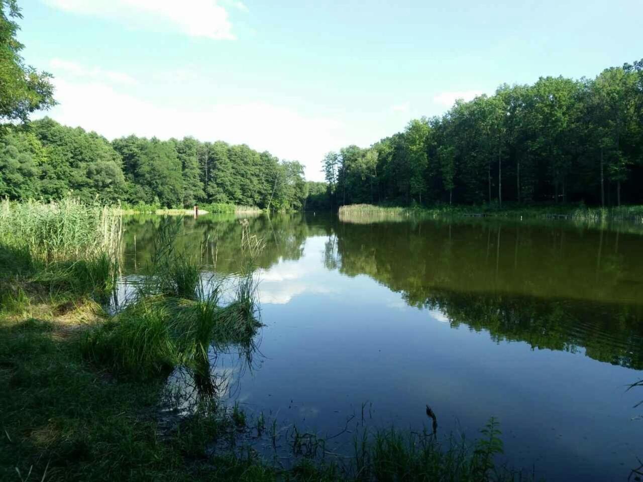 Holiday Home Rayskiy Ugolochek Kvitki Екстериор снимка